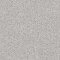 Линолеум Profi Strong Plus Granite 4 Линолеум Profi Strong Plus Granite 4