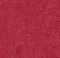 Натуральный линолеум 3273 ruby (Forbo Marmoleum Fresco) Натуральный линолеум 3273 ruby (Forbo Marmoleum Fresco)