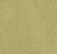 Натуральный линолеум 3265 avocado (Forbo Marmoleum Fresco) Натуральный линолеум 3265 avocado (Forbo Marmoleum Fresco)