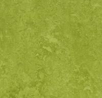 Натуральный линолеум 3247 green (Forbo Marmoleum Fresco) Натуральный линолеум 3247 green (Forbo Marmoleum Fresco)