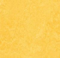 Натуральный линолеум 3251 lemon zest (Forbo Marmoleum Fresco) Натуральный линолеум 3251 lemon zest (Forbo Marmoleum Fresco)