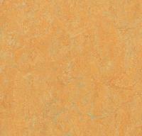 Натуральный линолеум 3847 golden saffron (Forbo Marmoleum Real) Натуральный линолеум 3847 golden saffron (Forbo Marmoleum Real)
