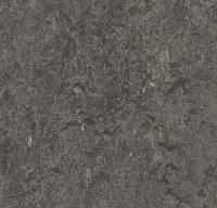 Натуральный линолеум 3048 graphite (Forbo Marmoleum Real) Натуральный линолеум 3048 graphite (Forbo Marmoleum Real)