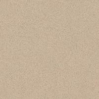 Линолеум Profi Strong Plus Granite 5 Линолеум Profi Strong Plus Granite 5
