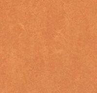 Натуральный линолеум 3825 African desert (Forbo Marmoleum Fresco) Натуральный линолеум 3825 African desert (Forbo Marmoleum Fresco)