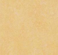 Натуральный линолеум 3846 natural corn (Forbo Marmoleum Fresco) Натуральный линолеум 3846 natural corn (Forbo Marmoleum Fresco)