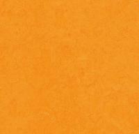 Натуральный линолеум 3262 marigold (Forbo Marmoleum Fresco) Натуральный линолеум 3262 marigold (Forbo Marmoleum Fresco)