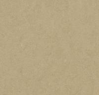 Натуральный линолеум 3890 oat (Forbo Marmoleum Fresco) Натуральный линолеум 3890 oat (Forbo Marmoleum Fresco)