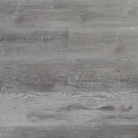 Aberhof Alfa 2436 Aprikose