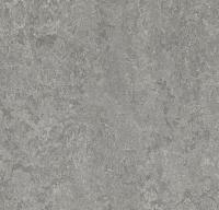 Натуральный линолеум 3146 serene grey (Forbo Marmoleum Real) Натуральный линолеум 3146 serene grey (Forbo Marmoleum Real)