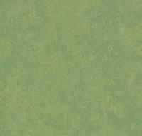 Натуральный линолеум 3260 leaf (Forbo Marmoleum Fresco) Натуральный линолеум 3260 leaf (Forbo Marmoleum Fresco)