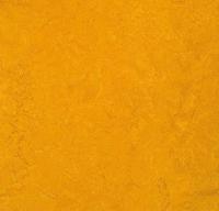 Натуральный линолеум 3125 golden sunset (Forbo Marmoleum Fresco) Натуральный линолеум 3125 golden sunset (Forbo Marmoleum Fresco)