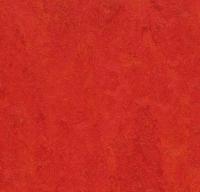 Натуральный линолеум 3131 scarlet (Forbo Marmoleum Fresco) Натуральный линолеум 3131 scarlet (Forbo Marmoleum Fresco)