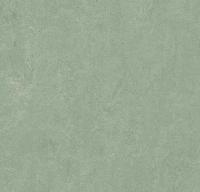 Натуральный линолеум 3891 sage (Forbo Marmoleum Fresco) Натуральный линолеум 3891 sage (Forbo Marmoleum Fresco)