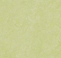 Натуральный линолеум 3881 green wellness (Forbo Marmoleum Real) Натуральный линолеум 3881 green wellness (Forbo Marmoleum Real)