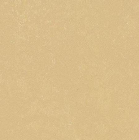 Натуральный линолеум Marmoleum Concrete 3726 venus