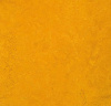 Натуральный линолеум 3125 golden sunset (Forbo Marmoleum Fresco)
