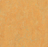 Натуральный линолеум 3847 golden saffron (Forbo Marmoleum Real)