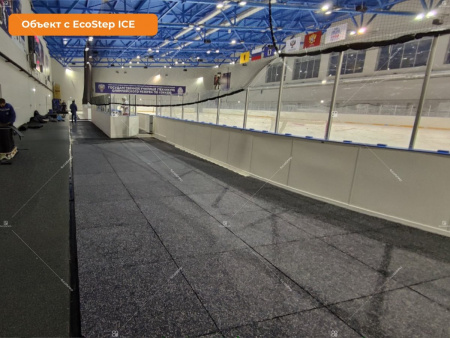 Плиты EcoStep ICE