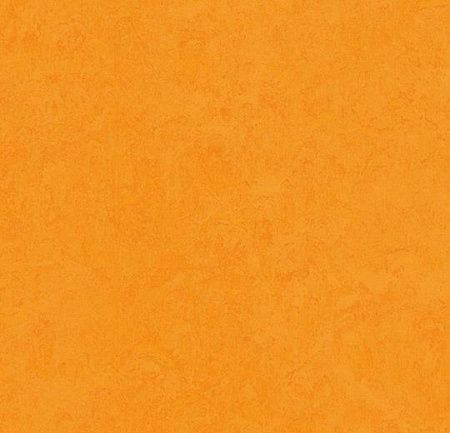 Натуральный линолеум 3262 marigold (Forbo Marmoleum Fresco)