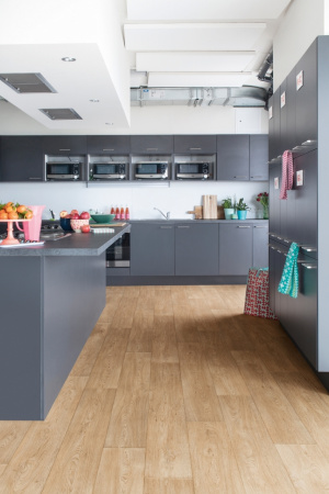 Линолеум IVC Velvet Chestnut oak W30