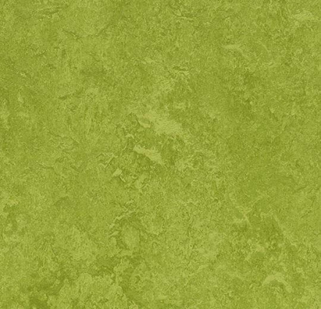 Натуральный линолеум 3247 green (Forbo Marmoleum Fresco)