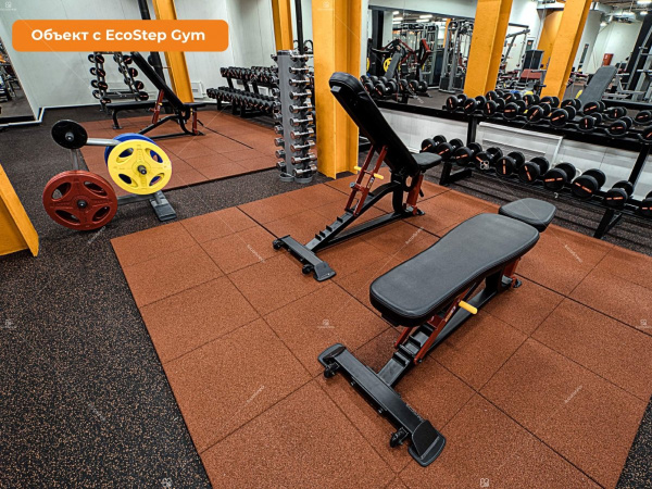 EcoStep Gym EcoStep Gym