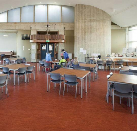 Натуральный линолеум 3203 henna (Forbo Marmoleum Fresco)