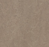 Натуральный линолеум 3246 shrike (Forbo Marmoleum Fresco)