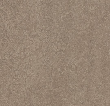 Натуральный линолеум 3246 shrike (Forbo Marmoleum Fresco)