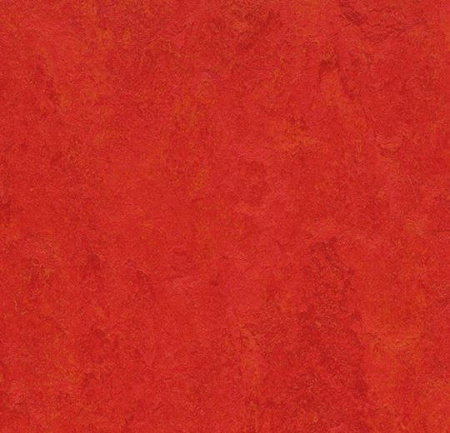 Натуральный линолеум 3131 scarlet (Forbo Marmoleum Fresco)