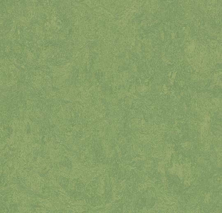 Натуральный линолеум 3260 leaf (Forbo Marmoleum Fresco)