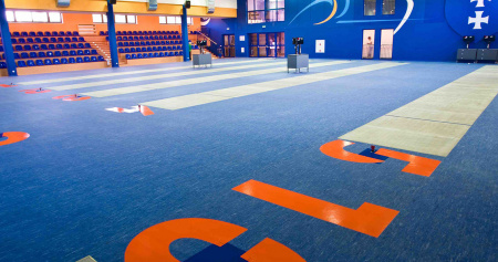 Натуральный линолеум Linodur Sport (спортивный)