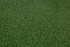 Линолеум IVC NEO  Grass  25