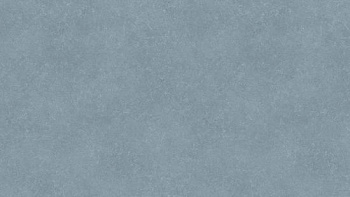 Коммерческий линолеум Tarkett Acczent Pro - Nara 5 Коммерческий линолеум Tarkett Acczent Pro - Nara 5