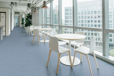 Линолеум Profi Оffice Sonora 9 Линолеум Profi Оffice Sonora 9