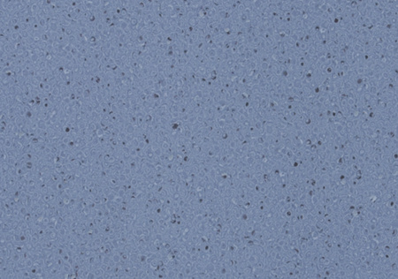 Коммерческий линолеум LG Durable