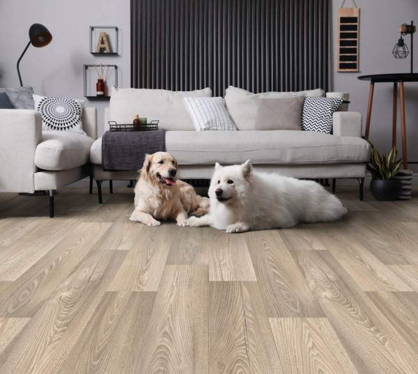 Линолеум Juteks Nelson Montana 1  Линолеум Juteks Nelson Montana 1