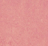 Натуральный линолеум 3268 honey suckle (Forbo Marmoleum Real)